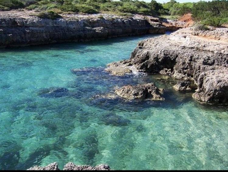 Villa Giovanna Villanova di Ostuni Bagian luar foto